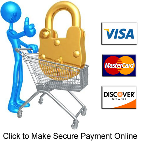 Make Secure Payment Online (opens in new window)